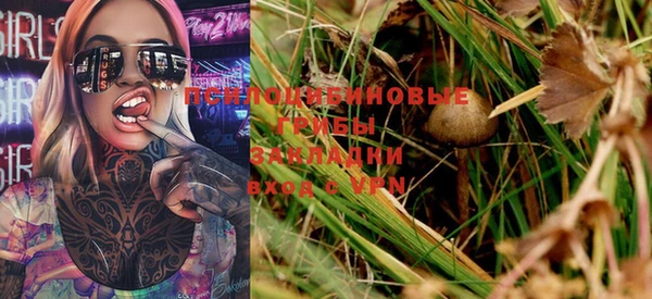 спиды Бронницы